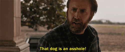 joe that dog is an asshole